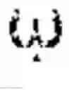 Fig. 02 - Cranial protection cell