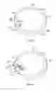 Fig. 09 - Cooling straw and beverage container lid accommodating a cooling straw