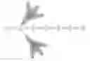 Fig. 01 - ARTIFICIAL CHRISTMAS TREE