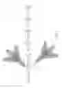 Fig. 02 - ARTIFICIAL CHRISTMAS TREE