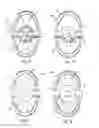 Fig. 05 - Adjustable Rotating Blade Assembly Food Preparation Device