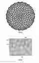Fig. 04 - Chainmail Sponge