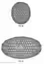 Fig. 23 - Chainmail Sponge