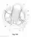 Fig. 12 - Rotating drum filter for a dishwashing machine