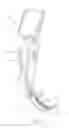 Fig. 02 - Laryngoscope