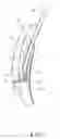 Fig. 06 - Laryngoscope