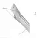 Fig. 07 - VIDEO RETRACTOR