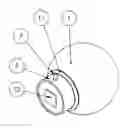 Fig. 01 - DEVICE FOR MEASURING INTRA-OCULAR PRESSURE