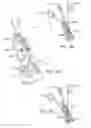 Fig. 28 - METHOD, APPARATUS AND SYSTEM FOR COMPLETE EXAMINATION OF TISSUE WITH HAND-HELD IMAGING DEVICES