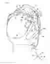Fig. 06 - Headwear for electroencephalography