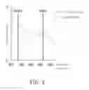 Fig. 04 - Detecting device