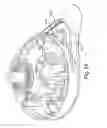 Fig. 35 - Delivering and/or receiving fluids
