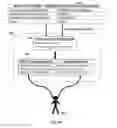 Fig. 08 - Systems and methods for estimating and predicting emotional states and affects and providing real time feedback