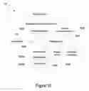 Fig. 14 - Wearable device for healthcare and method thereof