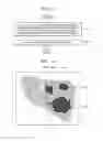 Fig. 13 - Ultrasound imaging apparatus and method of controlling the same