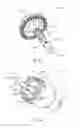 Fig. 04 - Atraumatic stapling head features for circular surgical stapler