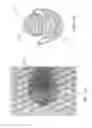 Fig. 12 - Devices and methods for the treatment of vascular defects