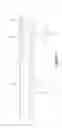 Fig. 04 - Catheter system