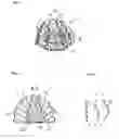 Fig. 02 - Surgical trabecular tool and method for manufacturing