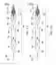 Fig. 124 - CLOT RETRIEVAL SYSTEM