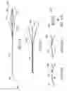 Fig. 34 - CLOT RETRIEVAL SYSTEM