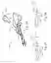 Fig. 44 - Surgical instrument with removable clamp arm assembly