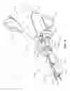 Fig. 02 - Surgical instrument with removable portion to facilitate cleaning