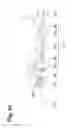Fig. 06 - Implant for bone fixation
