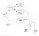 Fig. 01 - Energy delivery systems and uses thereof
