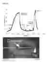 Fig. 22 - Energy delivery systems and uses thereof