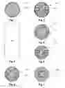 Fig. 02 - Multiple imaging mode tissue marker
