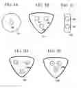 Fig. 06 - Endodontic file system for cleaning and shaping a root canal
