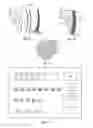 Fig. 03 - Dental veneers and methods of manufacture