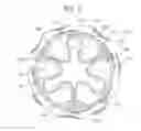 Fig. 09 - Crimping accessory device for a prosthetic valve