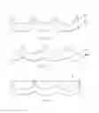 Fig. 07 - Heart valve bioprosthesis and manufacturing method thereof
