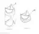 Fig. 09 - Heart valve bioprosthesis and manufacturing method thereof