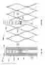 Fig. 20 - Stent features for collapsible prosthetic heart valves