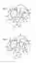 Fig. 03 - Fixation devices, systems and methods for heart valve leaf repair
