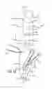 Fig. 05 - Fixation devices, systems and methods for heart valve leaf repair