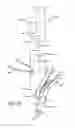 Fig. 07 - Fixation devices, systems and methods for heart valve leaf repair