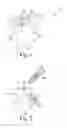 Fig. 02 - Implant for bone fixation