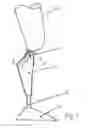 Fig. 02 - METHOD FOR CONTROLLING AN ARTIFICIAL KNEE JOINT