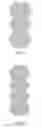 Fig. 02 - Adhesive Skin Patch Material, and Support For Adhesive Skin Patch Material Which Can Be Used In Same