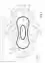 Fig. 02 - Absorbent article with contoured fit
