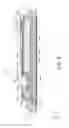 Fig. 13 - Absorbent article with contoured fit