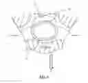 Fig. 07 - Infant feeding teat