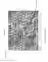 Fig. 12 - Nanocrystalline zirconia and methods of processing thereof