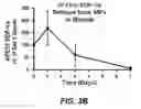 Fig. 07 - Degradable Microparticles for Protein and Small Molecule Delivery