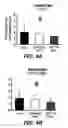 Fig. 08 - Degradable Microparticles for Protein and Small Molecule Delivery