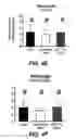 Fig. 10 - Degradable Microparticles for Protein and Small Molecule Delivery